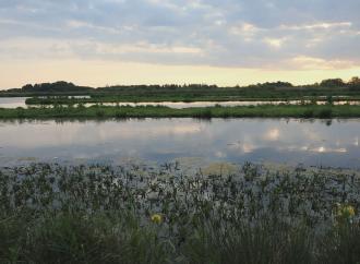 180719_2018-05-26_RESINSJE_ONTWAKENDLANDSCHAP_IN_EKSPEDYSJE_YN_DE_FRYSKE_NATUER.mp4